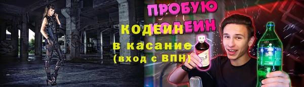 индика Козельск
