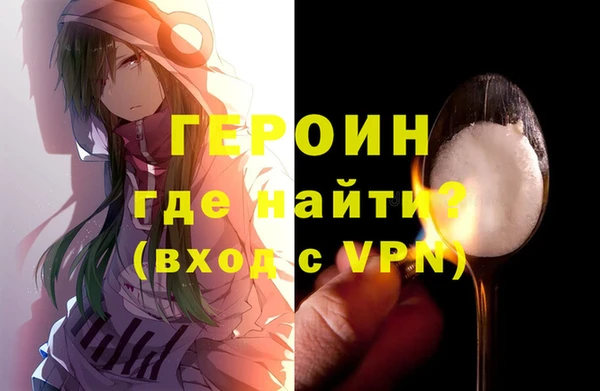 индика Козельск