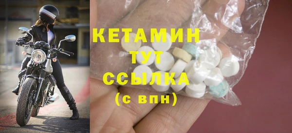 индика Козельск