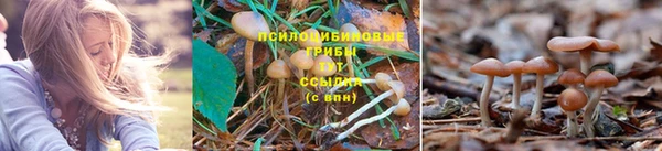 скорость mdpv Козловка