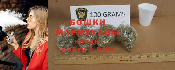 индика Козельск