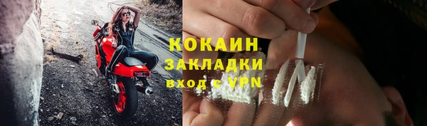 индика Козельск
