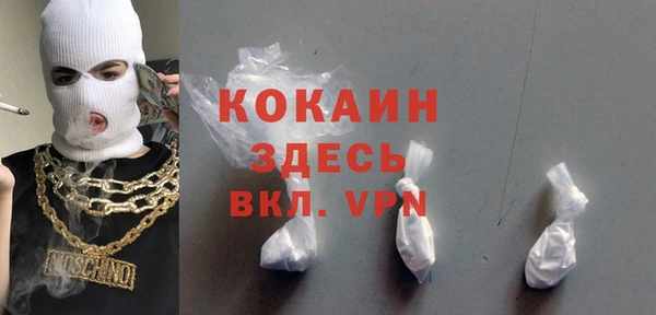 мдпв Корсаков