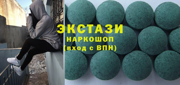 индика Козельск