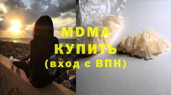 индика Козельск