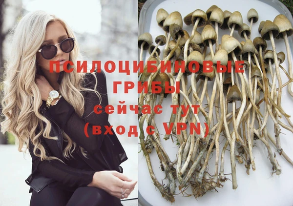 индика Козельск