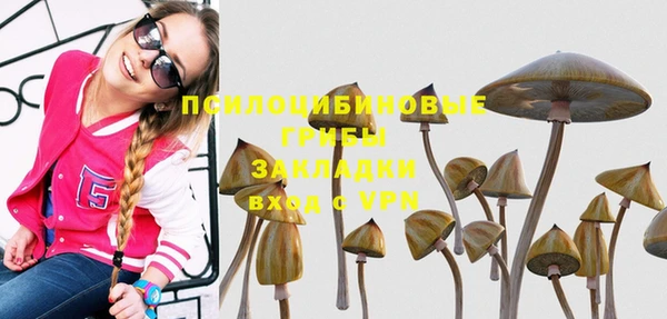 индика Козельск