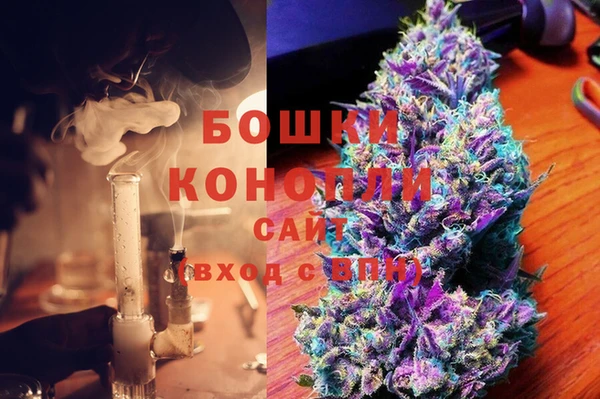 индика Козельск
