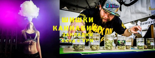 индика Козельск