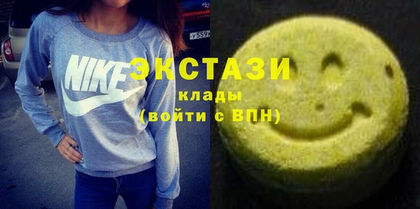 индика Козельск