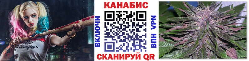 Конопля White Widow  Купить закладки  Навашино 